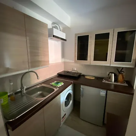 Lägenhet Apartament Muflonik